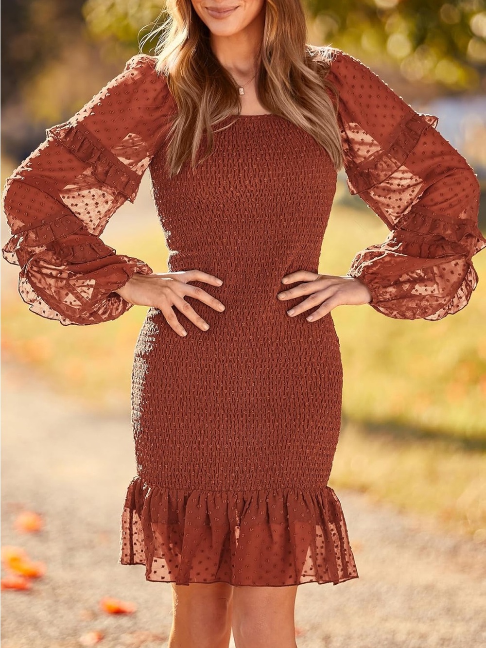 Smocked Rust Mini Dress with Swiss Dot Bishop Sleeves